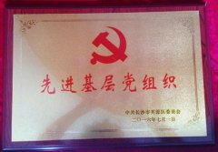 热烈庆祝长沙东大肛肠医院荣获“先进基层党组织”称号