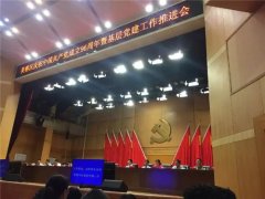 长沙东大肛肠医院党支部获评“两学一做”先进基层党组织