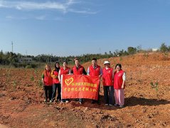 �����׷澫�񣬹�����ɫ��԰����Ժ־Ը��ֲ�������ж�